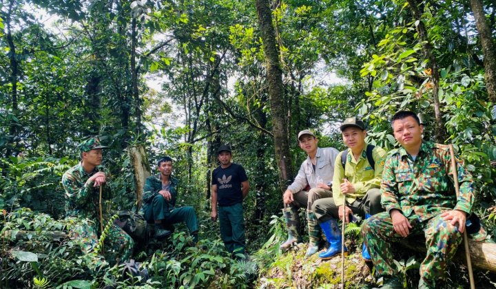 Tuyên Quang: Hành trình bền bỉ giữ rừng và kiến tạo giá trị xanh