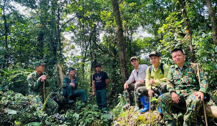Tuyên Quang: Hành trình bền bỉ giữ rừng và kiến tạo giá trị xanh