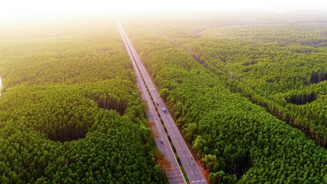 Khám phá cung đường chạy đẹp nhất Việt Nam: băng rừng di sản, xuyên “kỳ quan đô thị biển” tại Cần Giờ