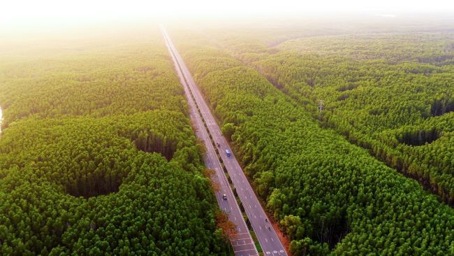 Khám phá cung đường chạy đẹp nhất Việt Nam: băng rừng di sản, xuyên “kỳ quan đô thị biển” tại Cần Giờ