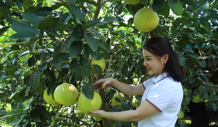 Nông thôn mới Hà Tĩnh: Điểm tựa hội nhập và cất cánh