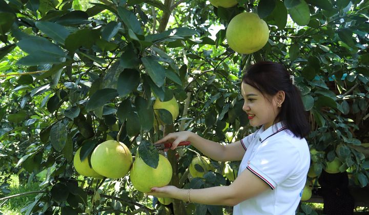 Nông thôn mới Hà Tĩnh: Điểm tựa hội nhập và cất cánh