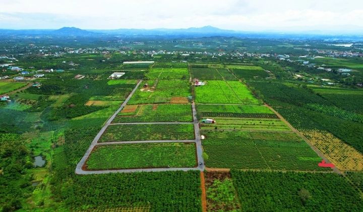 Hoàn thiện cơ sở dữ liệu đất đai hướng tới quản trị số và phát triển xanh