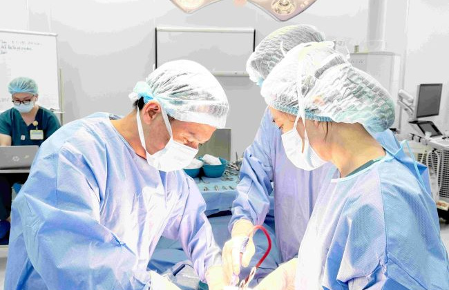 Hiệu quả điều trị đa nhân xơ tử cung kích thước lớn tại Vinmec Đà Nẵng