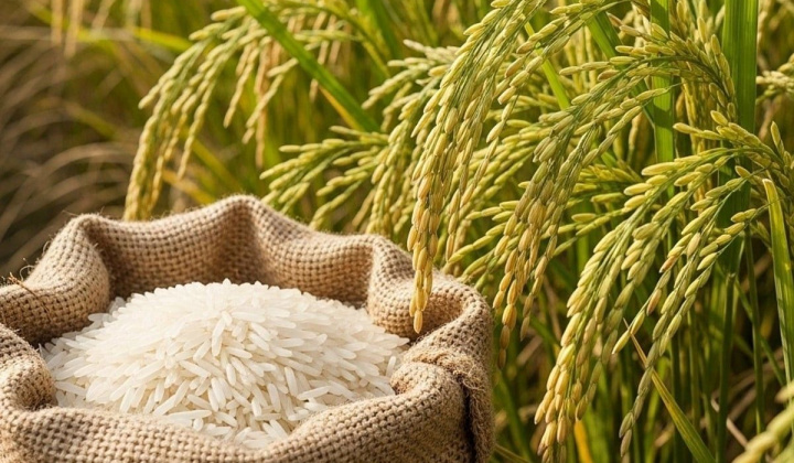 Hạt gạo Việt trên hành trình nâng tầm giá trị