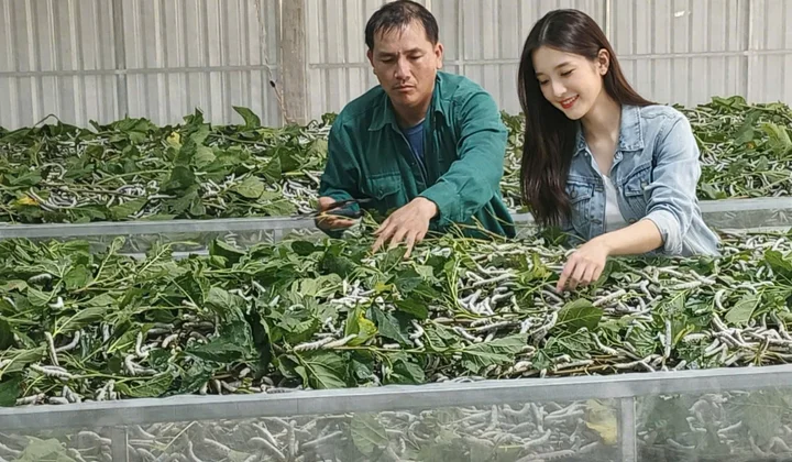 Xã Ia Hrú, tỉnh Gia Lai - Hành trình và khát vọng phát triển của một đơn vị hành chính mới