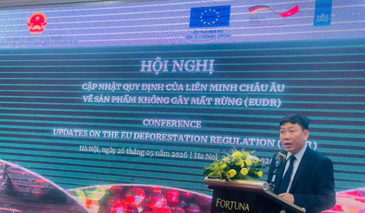 EU nâng chuẩn chống mất rừng: Cơ hội và sức ép với nông sản Việt