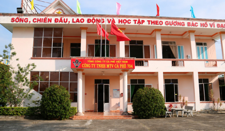Công ty Cà phê 704: Khẳng định vị thế qua sự đổi mới và quản trị hiệu quả
