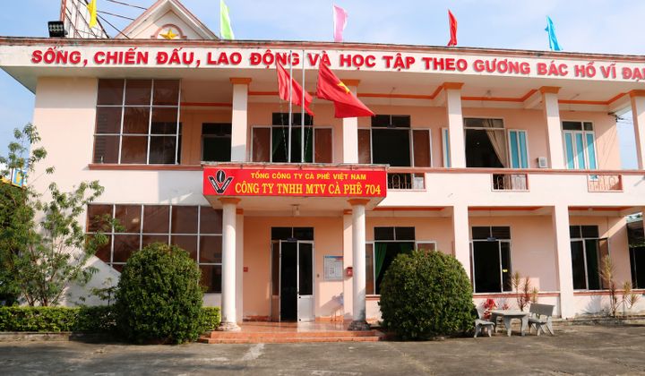 Công ty Cà phê 704: Khẳng định vị thế qua sự đổi mới và quản trị hiệu quả