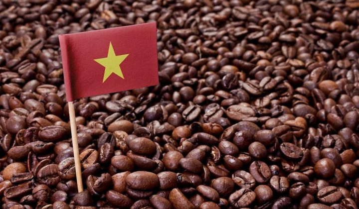 Tái định hình ngành cà phê Việt Nam từ tăng trưởng sản lượng sang nâng cao giá trị xuất khẩu và phát triển bền vững