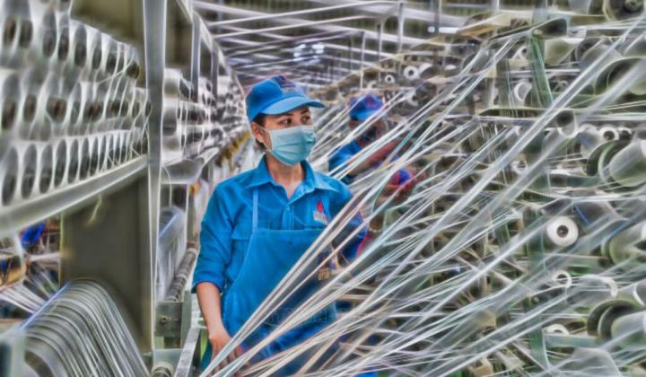 Biến động giá nguyên liệu và vấn đề nâng cao năng lực chống chịu trong phát triển ngành sợi Việt Nam