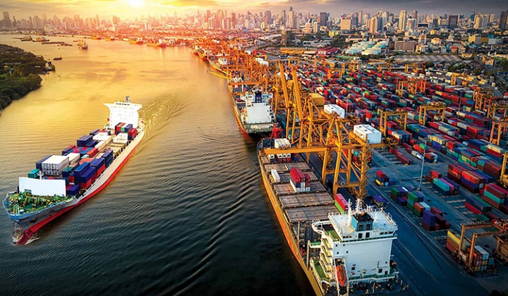 Bức tranh nhập khẩu của Việt Nam: Sự gắn kết ngày càng sâu với các chuỗi cung ứng toàn cầu