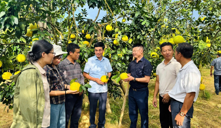 Tạp chí Việt Nam Hội nhập - Người bạn đồng hành cùng khuyến nông Hà Tĩnh