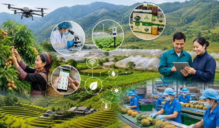 Ứng dụng khoa học, công nghệ theo chuỗi giá trị: Đòn bẩy nâng tầm nông nghiệp, tạo sinh kế bền vững
