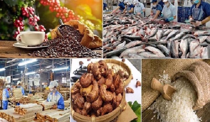 Thích ứng với các đạo luật mới của EUDR: Định hình lại chuỗi giá trị nông sản chế biến sâu