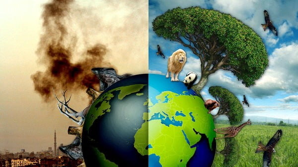 Improving the legal framework for combating environmental crimes