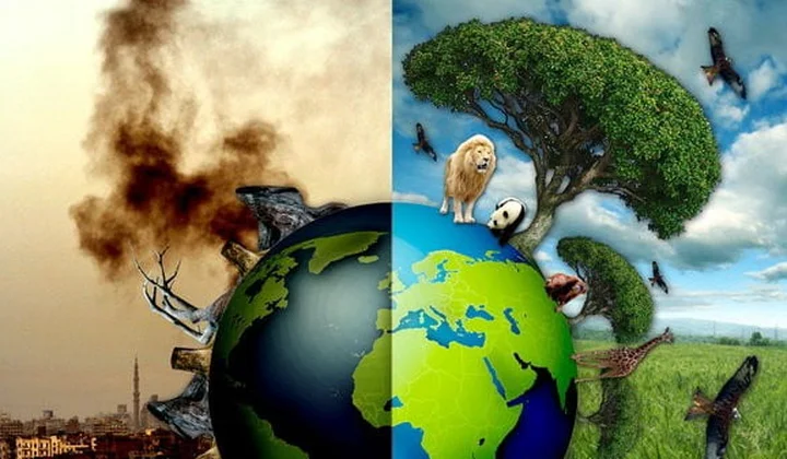 Improving the legal framework for combating environmental crimes