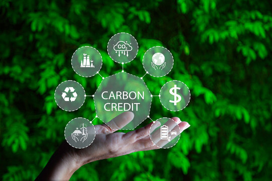 Thị trường tín chỉ carbon: Khơi mở nguồn lực mới cho tăng trưởng xanh và hội nhập quốc tế