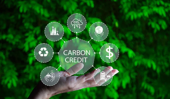 Thị trường tín chỉ carbon: Khơi mở nguồn lực mới cho tăng trưởng xanh và hội nhập quốc tế