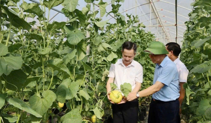 Thanh Hóa: Phát huy tiềm năng, thúc đẩy nông nghiệp phát triển bền vững
