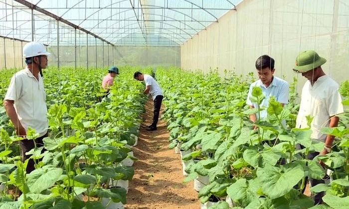 Thanh Hóa tháo gỡ điểm nghẽn, khơi thông dư địa tăng trưởng