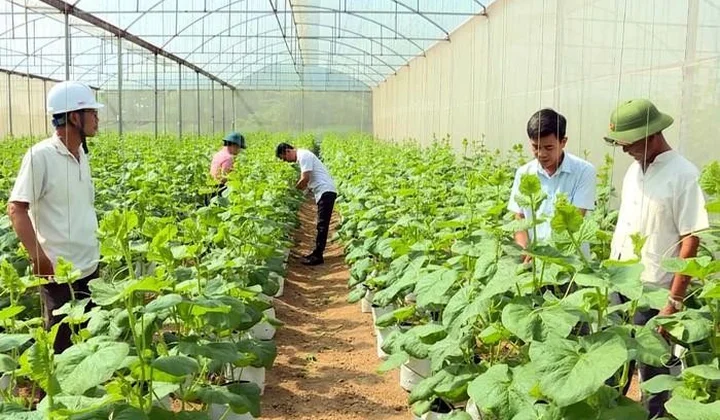 Thanh Hóa tháo gỡ điểm nghẽn, khơi thông dư địa tăng trưởng