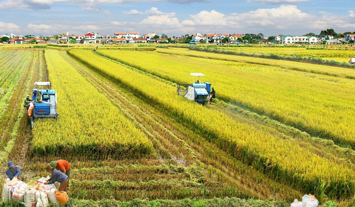 Chuyển đổi mô hình phát triển nông nghiệp Thanh Hóa theo hướng xanh, bao trùm và bền vững
