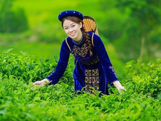 Từ “đạt sao” đến tạo giá trị: Nâng tầm OCOP bằng chất lượng, thương hiệu và thị trường