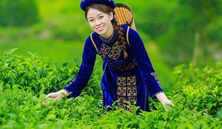 Từ “đạt sao” đến tạo giá trị: Nâng tầm OCOP bằng chất lượng, thương hiệu và thị trường