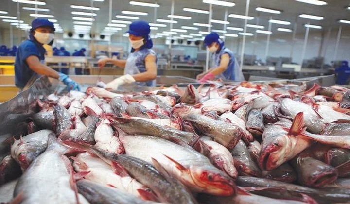 Thủy sản Việt Nam: Mở rộng không gian tăng trưởng, giảm phụ thuộc vào một thị trường