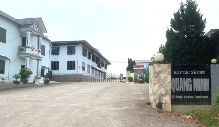 Hợp tác xã chế biến chè Quang Minh: Bước chuyển mình ngoạn mục và hành trình phát triển bền vững
