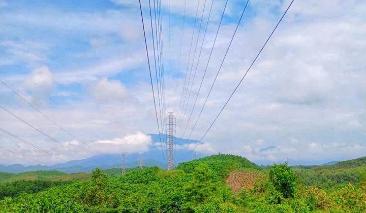 EVNNPC duy trì tăng trưởng và thúc đẩy nhiệm vụ cuối năm 2026