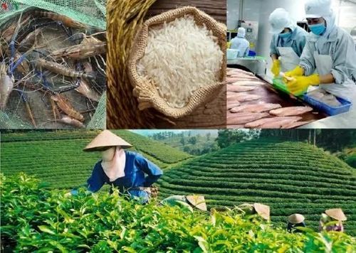 Nâng giá trị nông sản Việt trong chuỗi cung ứng toàn cầu