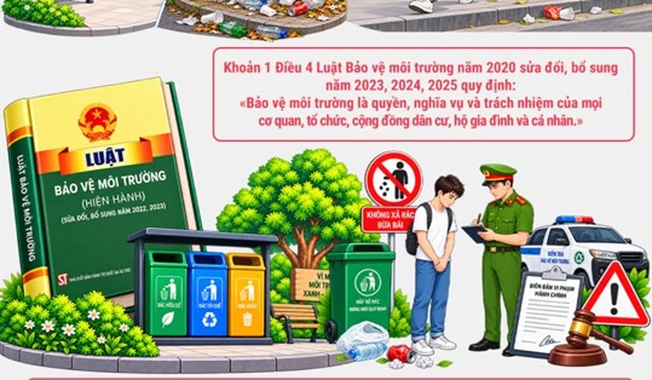 Xả rác nơi công cộng - Hành vi nhỏ, hậu quả lớn