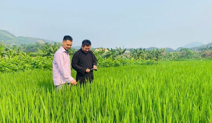 Xã Lâm Giang: Vững vàng trên hành trình thực hiện Mô hình chính quyền địa phương hai cấp