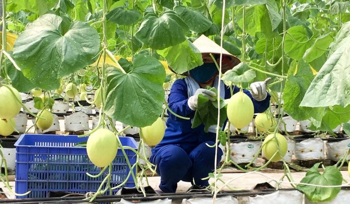 Kiến tạo không gian phát triển cho kinh tế tư nhân: Từ thực tiễn Phú Thọ