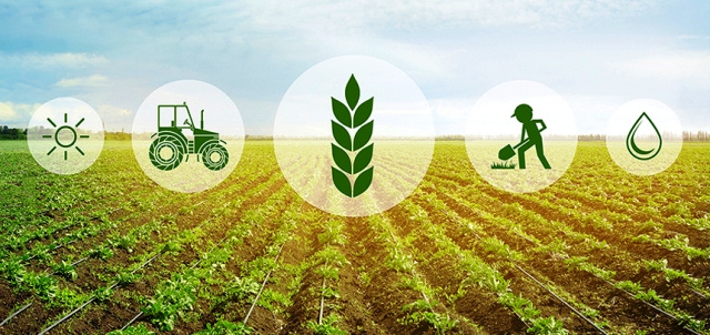 Tài chính cho nông nghiệp xanh: Khơi thông nguồn lực cho quá trình chuyển đổi
