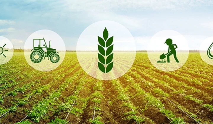 Tài chính cho nông nghiệp xanh: Khơi thông nguồn lực cho quá trình chuyển đổi