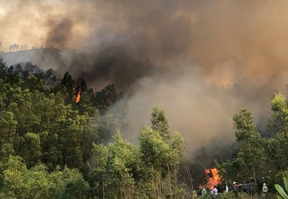 Thanh Hoá thực hiện các biện pháp cấp bách phòng cháy, chữa cháy rừng