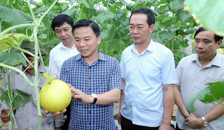 Thanh Hoá: Nhiều chuyển biến mạnh mẽ trong xây dựng nông thôn mới