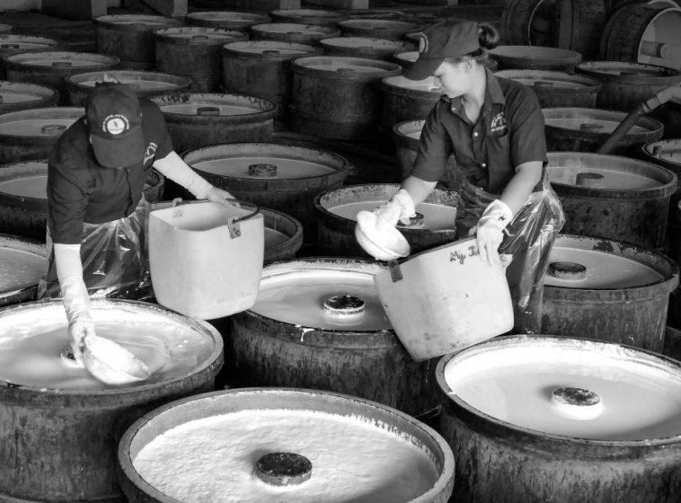 Tác phẩm Đánh đông của tác giả Nguyễn Văn Sẵng (TP.HCM) đạt giải ba 