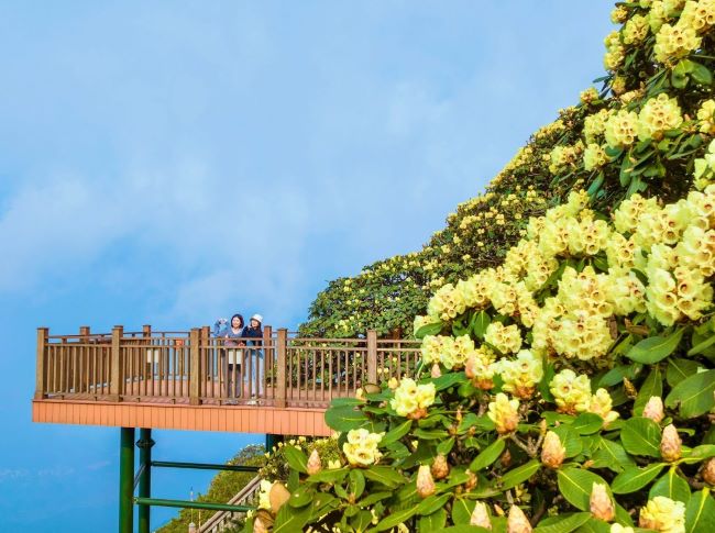 Du lịch Sapa