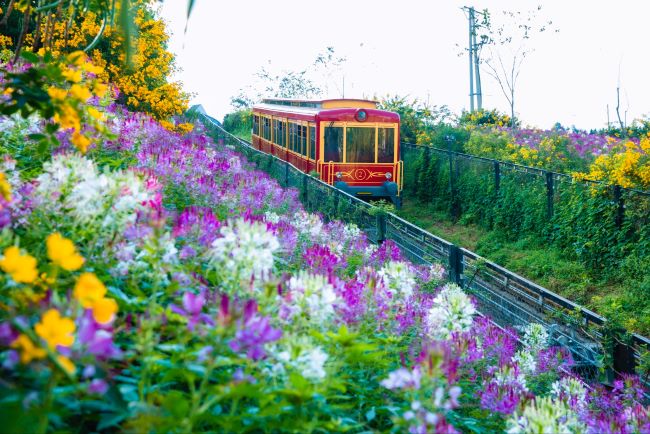 Tàu hoả leo núi Mường Hoa đưa du khách chiêm ngưỡng thiên nhiên hùng vĩ của núi rừng Tây Bắc