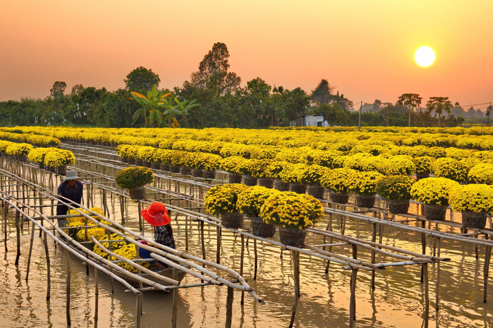 Ngành du lịch Đồng Tháp kỳ vọng bứt phá trong năm 2025