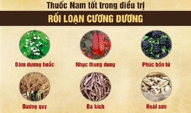 Nhất Nam Dương – giải pháp hỗ trợ điều trị yếu sinh lý, tăng cường sinh lực phái mạnh