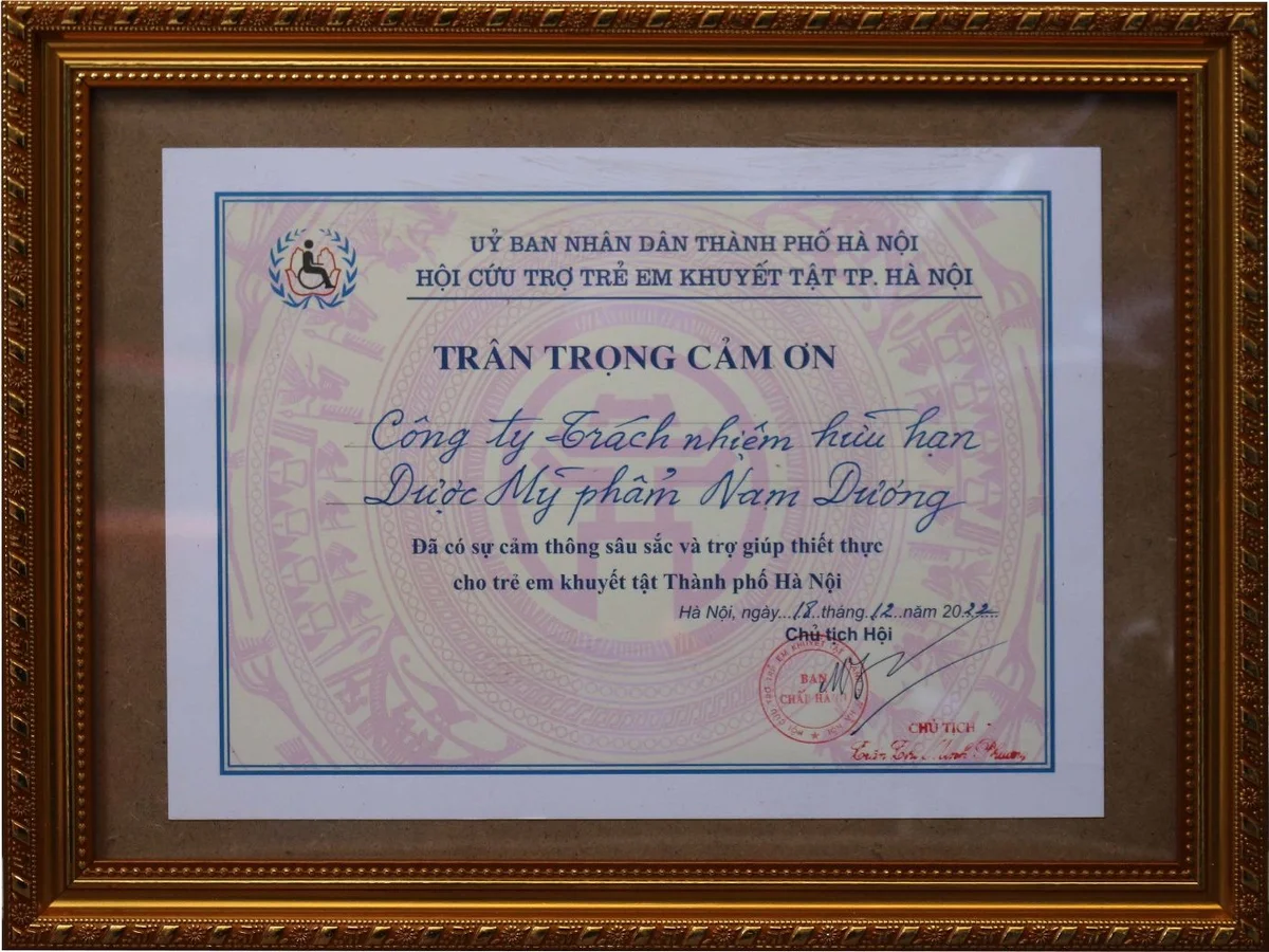 Nam Dương 4