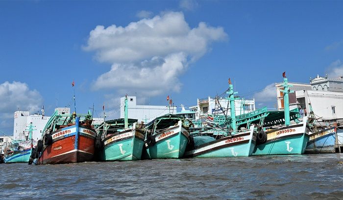 Tăng cường kiểm tra, hướng dẫn, đôn đốc các địa phương ven biển việc thực hiện các quy định, khuyến nghị của EC về chống khai thác IUU
