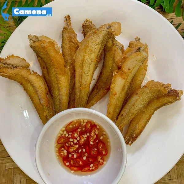 Cá Bống Đục 1 Nắng