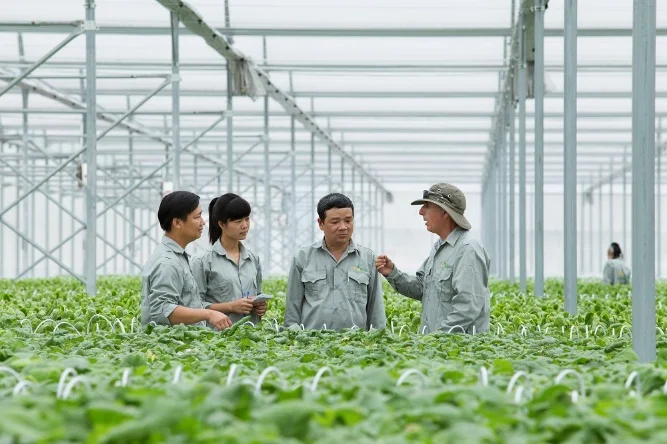 Đẩy mạnh chuyển đổi số trong khu vực kinh tế hợp tác, hợp tác xã