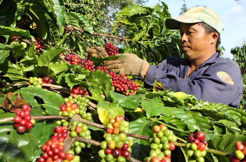Đắk Lắk hướng đến phát triển trên nền tảng của kinh tế xanh, kinh tế tuần hoàn và kinh tế số